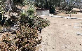 Mojave Desert Pied-A-Terre